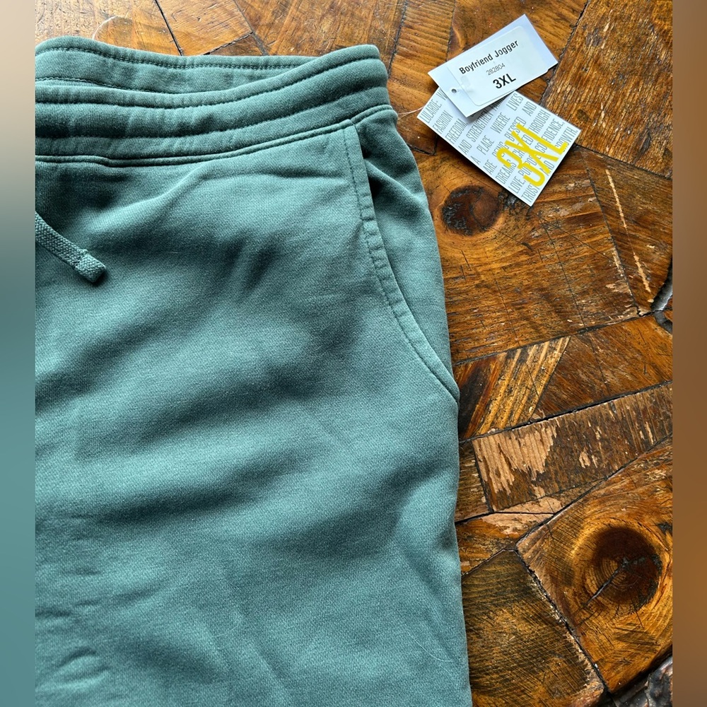 NWT LuLaRoe 3XL Boyfriend Jogger - Sage Green Sweatpants